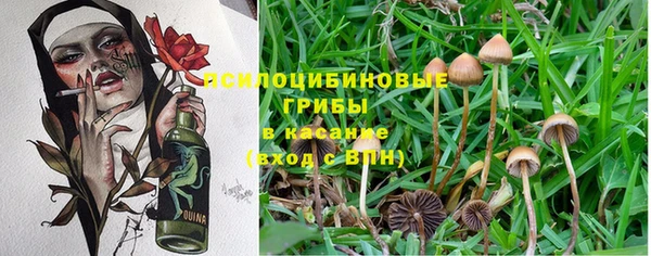 MDMA Абаза