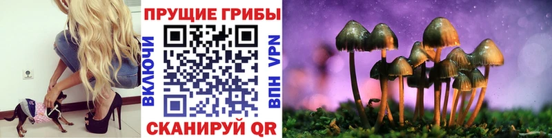 хочу наркоту  Барнаул  Псилоцибиновые грибы мицелий 
